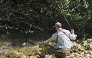 IMG-20251116-WA0040