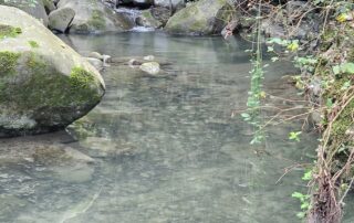 IMG-20251116-WA0042